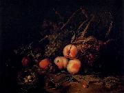 Still-Life with Fruit and Insects Rachel Ruysch